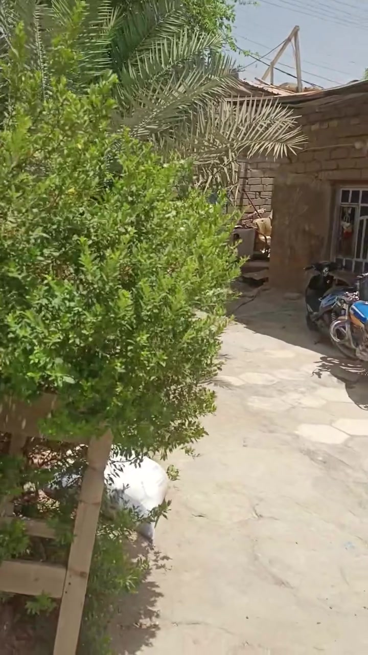 ببت للبيع مساحه ا400ركن محلات ثنين وياه عل شارع يبعد 100متر عن مفرك سديناويه بناء قديم بلوك  السعر 65وبي مجال بصيط التصال عل ***********
ببت للبيع مساحه ا400ركن محلات ثنين وياه عل شارع يبعد 100متر عن مفرك سديناويه بناء قديم بلوك  السعر 55وبي مجال بصيط التصال عل ***********

ملاحضه بيت زراعي 

زراعي 

زراعي
