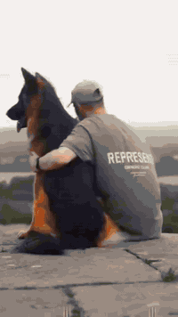 السلام عليكم ورحمة الله وبركاته
يتوفر بيع جيرمن بلاك شيبرد عمر الكلب سنه 

وجميع التفاصيل موجودة في الفيديو 

للتواصل و الأستفسار عن السعر في الرقم ادناه 
وتساب ***********#جيرمن بلاك شيبرد
