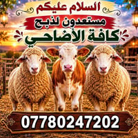 ذبح الأضحى • جاهزين