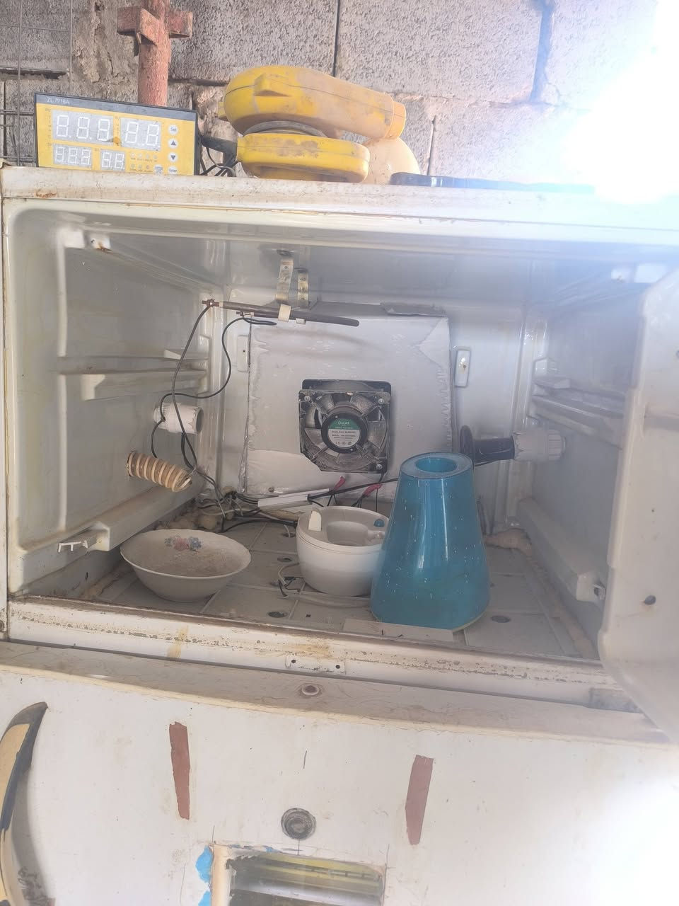 مفقس للبيع بس يحتاج ترتيب
س 180


**إذا كنت صاحب هذا الإعلان وتريد حذفه لأي سبب، رجاءا أرسل رسالة إلى الدعم الفني**