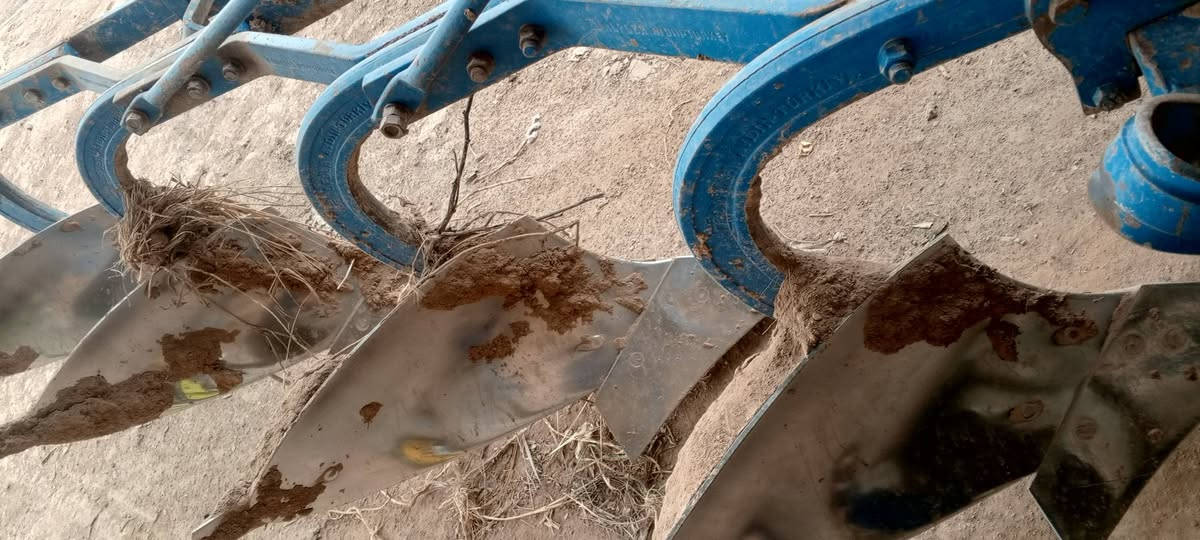 فدان تركي 14للبيع ***********
