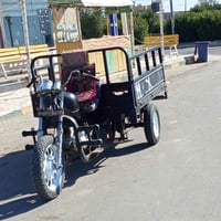 ستوته • شاصي مكفول • تواير جدد