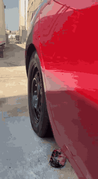 سلام عليكم ... 
للبيع النترا 22  امريكي جاهزة 
رقم نجف بسمي 
داخله كلين شخط بجاملغ الخلفي ودعاميه كدام وجاملغ الثاني مرشوش جيلاتين كلير مكفولة من الحادث القوي مكينه وكير شرط سياره نضيفه  موصفاتها عاديه قياده ذاتيه توقف ذاتي 3 انضمه قياده رادار مثبت سرعه 
مكاني نجف 👋
 . 
. 
سعر (150) 
***********
