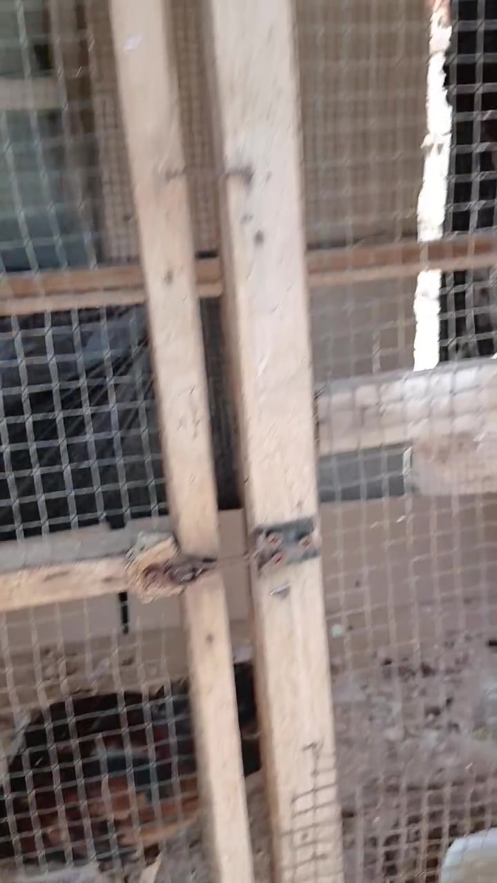 للبيع عدد ٢


**إذا كنت صاحب هذا الإعلان وتريد حذفه لأي سبب، رجاءا أرسل رسالة إلى الدعم الفني**