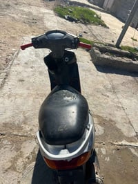 ماكس منغولي • شغاله • الحر السواده