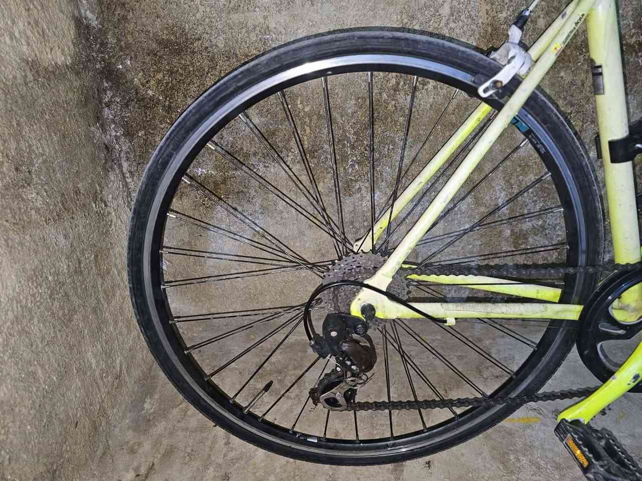 السلام عليكم
بايسكل c700 lespo

المنيوم بالكامل

فريم M 51cm

عقرب Shimano tourney tx مختوم Japan 

دشلي HR مختوم اندونسيا 8نمر

ويل خلفي برجستون المنيوم طبقتين كمبليون

ويل امامي المنيوم طبقتين كمبليون

صينية أمامية 48t

بريكات promax

لا يوجد توصيل 

موقع كوت حي الجهاد

السعر 140وبي مجال أو امراوس برود سستم كلارس أو سورا واطي فرق
التواصل خاص


**إذا كنت صاحب هذا الإعلان وتريد حذفه لأي سبب، رجاءا أرسل رسالة إلى الدعم الفني**