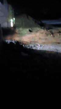 سكانيا سكس • موديل ٩٦ • محرك ٨٨