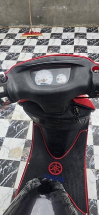 دراجة فراشة • مكفولة المحرك • زوير الغربي