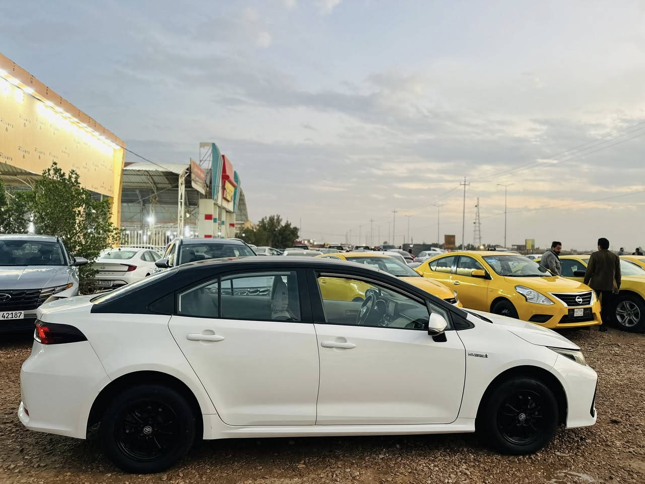 كورلا موديل 2023هايبردحرة بدون رقم تترقم جميع المحافظات ترقيم مجاني ياباني خليجي اصل الضرر رشات صبغ فقط بدون تبديل بدون ارباك تكسي دبي
السعر١٢٨بيع نقدا فقط
السماوة الرميثة معرض احمد ال شمران
***********
