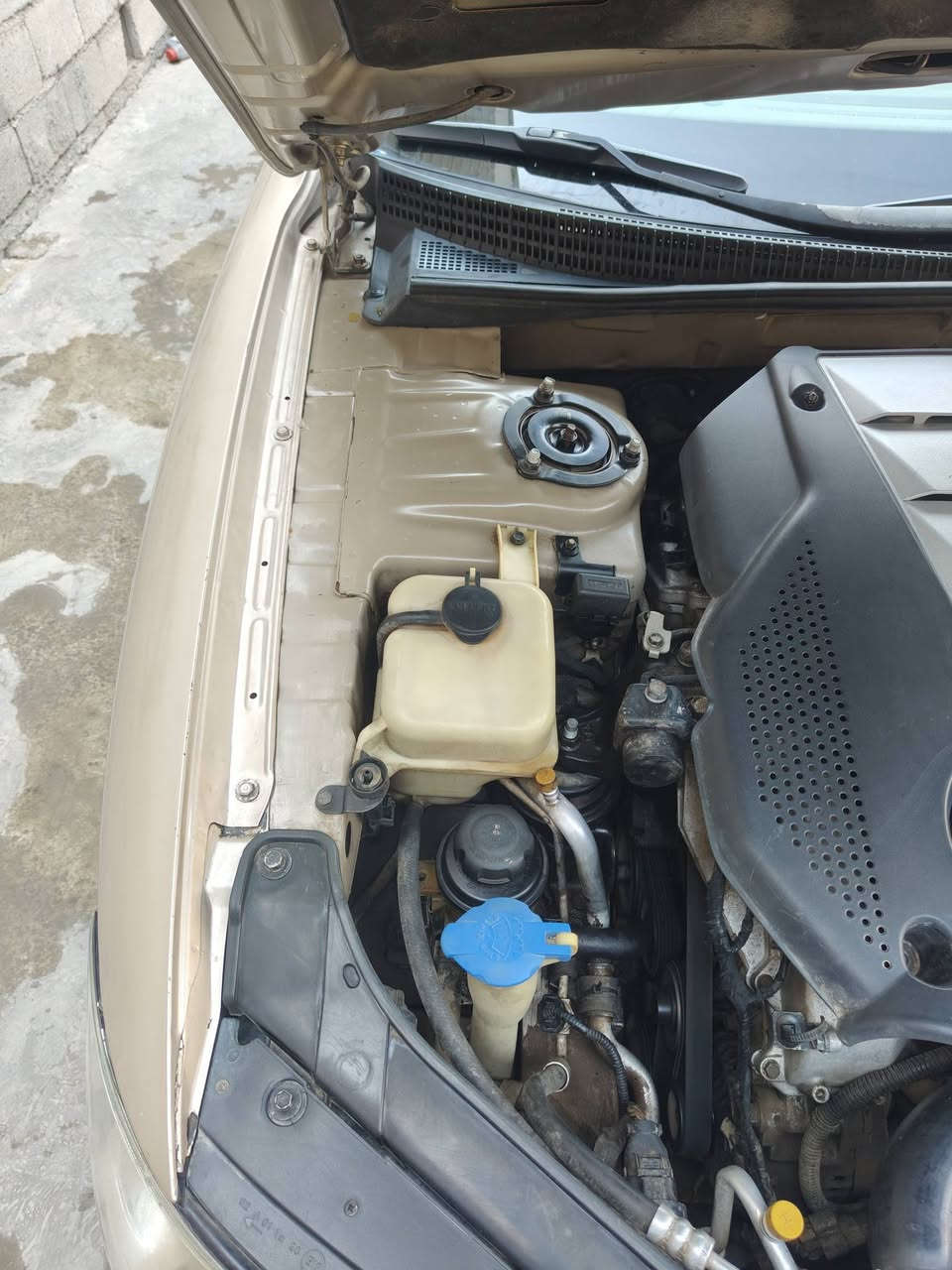 ازيرا 2008 أمريكي محرك 3300
رقم بغداد إنكليزي باسمي السنوية نافذة اليوم انتهت 
مواصفاتها معروفة فول
السيارة جاهزة اللاخير ما بيها نقص 
كير جديد 
تخم تاير جديد 
حدادية جديدة 
ادامة للمحرك جديدة 
المكينة بيها فقط صوت راجز أول ما اشغل ثواني ويروح 
مكفولة من التنقيص والتبخير 
بيها صبغ أقل الاحزام جمالية ابيع احزام 
سونر مرفق مع الصور 
ماشية 128 ألف 
السعر 88 بيها مجال 
مكاني بغداد حي البتول 
رقم الهاتف ***********
