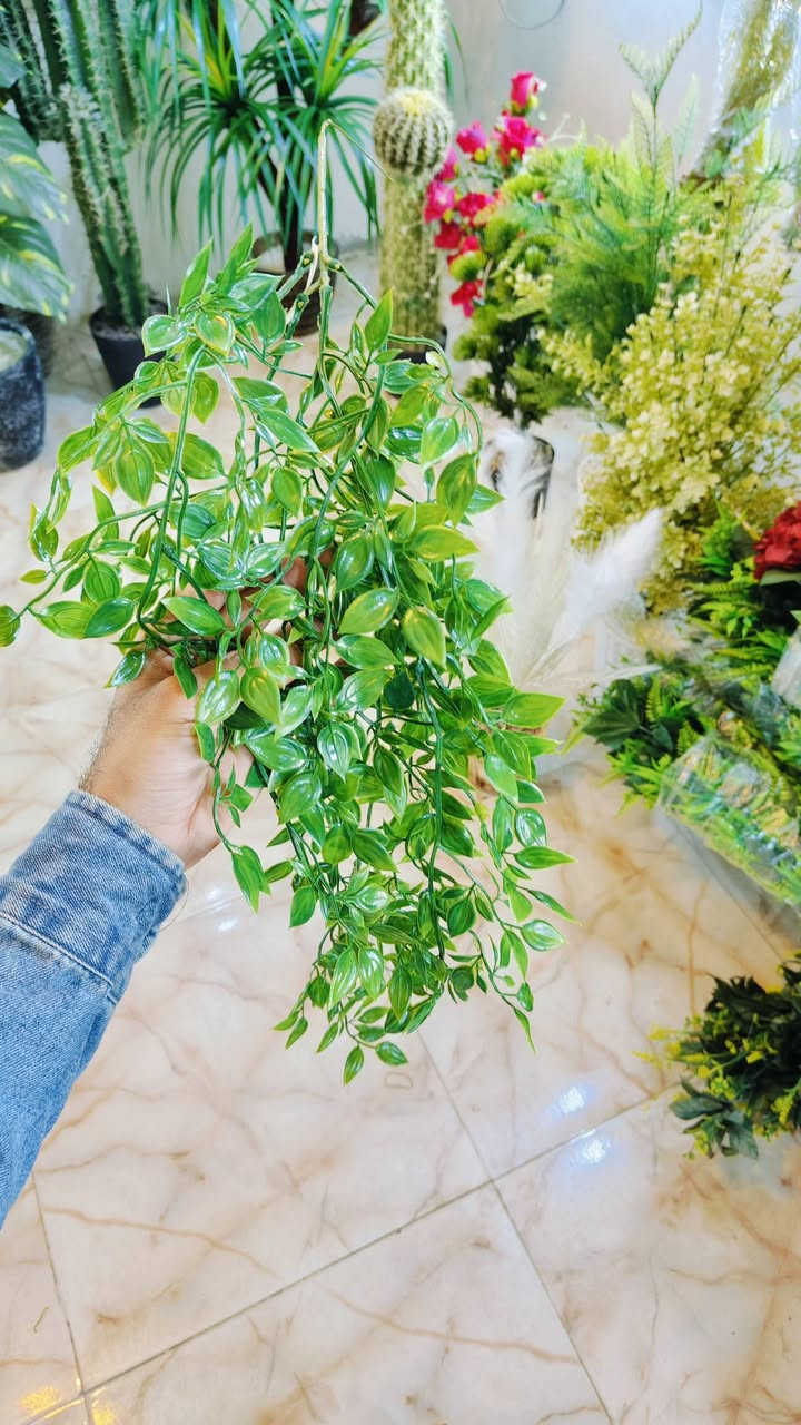 .اشكال وموديلات مختلفه من الأشجار الصناعيه🌳 ترضي جميع الأذواق🌴مقاسات مختله...
عنوان المحل #واسط قضاء #النعمانيه 
 الشيشان الجديد الشارع الرابع
    محل الغيث للتسويق المنزلي


**إذا كنت صاحب هذا الإعلان وتريد حذفه لأي سبب، رجاءا أرسل رسالة إلى الدعم الفني**