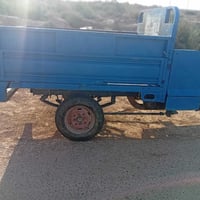 ستوتة • مكفوله