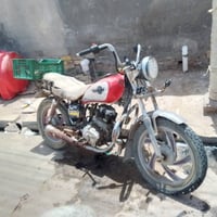 ستوته • اوراق • شغاله