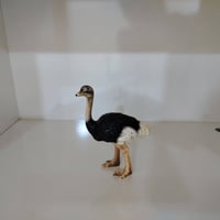 مجموعة حيوانات • ٢٥قطعة • توصيل