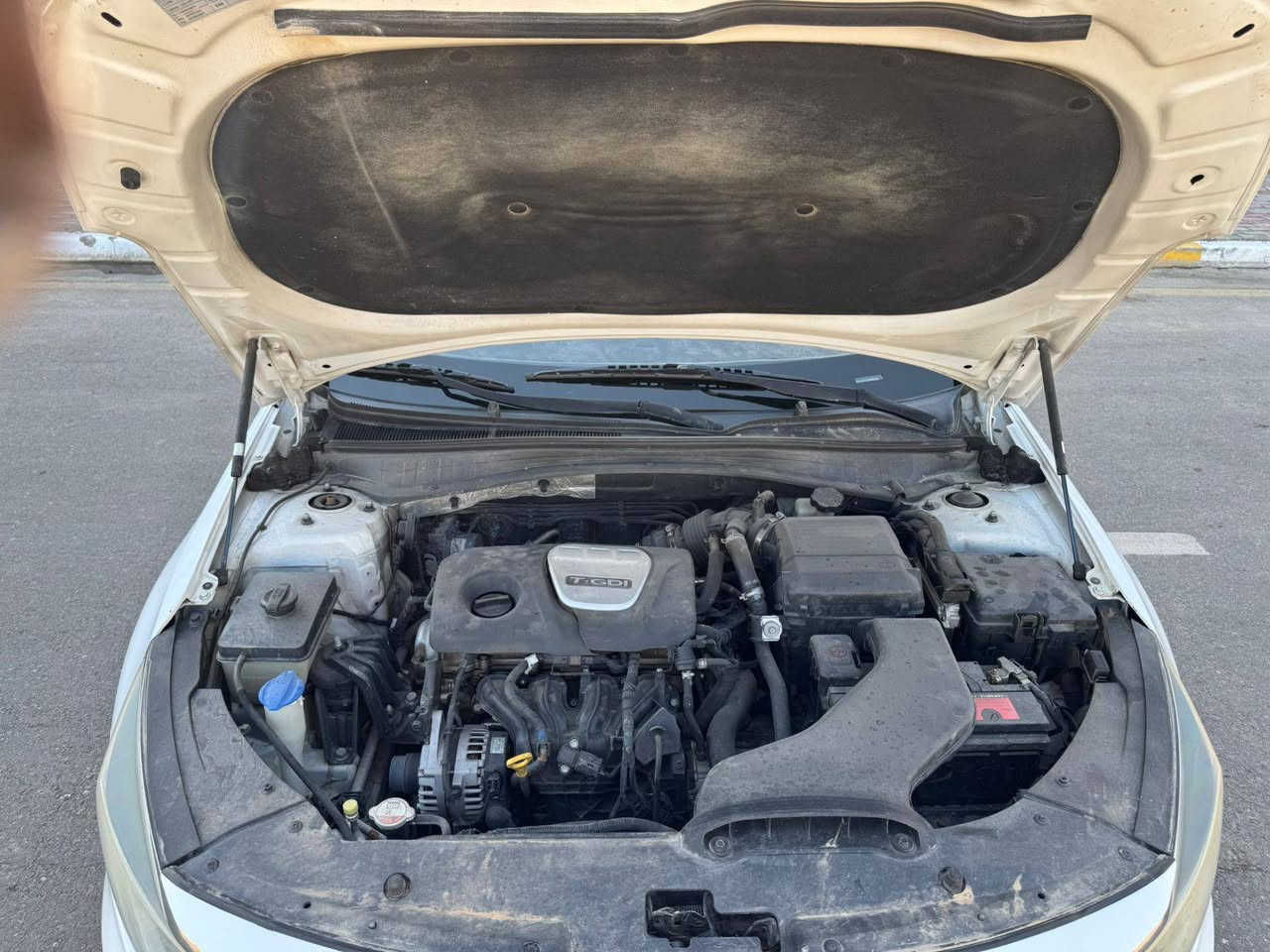 ابتمه  مديل 2016. سعر  118 ورقه.                وارد امريكي 
حادث جاملغ خلفي اليسر
صبغ 3قطع صبغ. والباقي كفاله 
فول ماعده الفتحه 
مكينه وكير جدد حداديه جديده 
اينقص مابيه العنوان كربلاء حي الوفاء
*********** كربلاء, العراق
