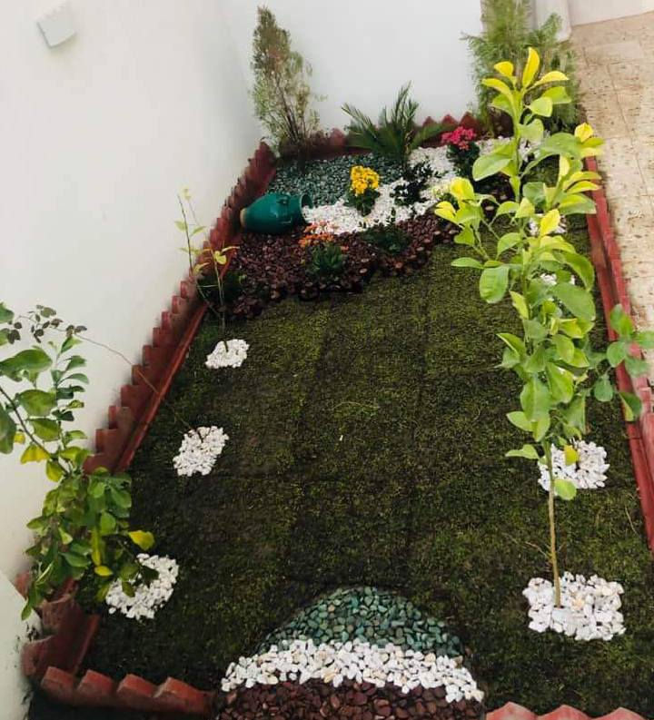 #واحد_بابل
#المهندس_سيد_ابراهيم
تم نجاز حدائق اثنين في دار الاخ ابو مختار
موقع العمل/الحله/حي الامير

لعمل كل مايخص الحدائق اتصل بلرقم ***********
او مراسله وتس اب نفس الرقم
#ضمان_العمل_5سنوات
#متابعه_مجاناا_3اشهر
