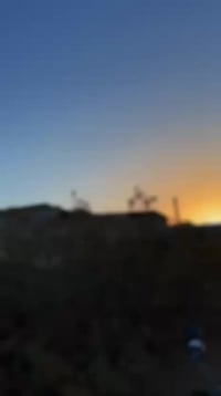 بوليسي للبيع كفاله الشراي يراسل واتساب موجود 07758784751