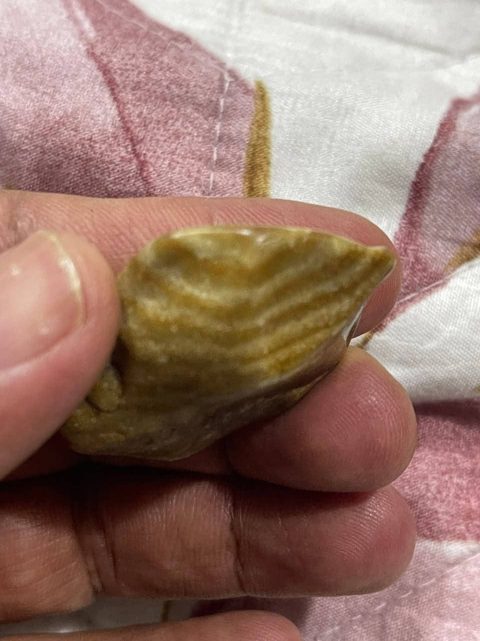 عطفه سومريه قديمه جدا مصوره للبيع تفاصيل خاص مصوره رجل وامراه


**إذا كنت صاحب هذا الإعلان وتريد حذفه لأي سبب، رجاءا أرسل رسالة إلى الدعم الفني**