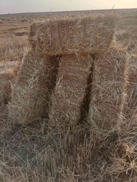 كبس تبن • ٧٠٠ • طول ١م