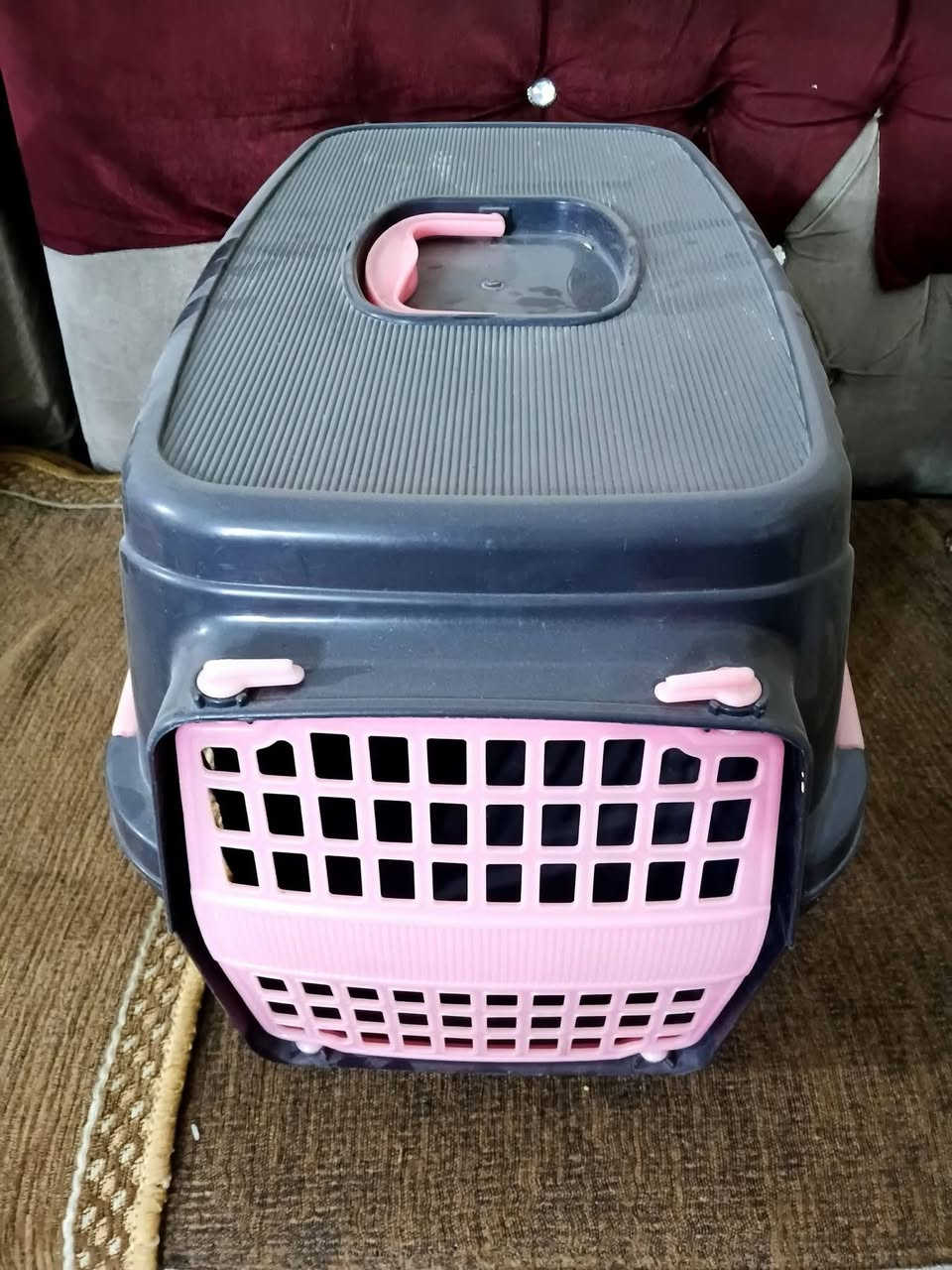 قفص جديد كامل ملحقاته مال ببغاء


**إذا كنت صاحب هذا الإعلان وتريد حذفه لأي سبب، رجاءا أرسل رسالة إلى الدعم الفني**