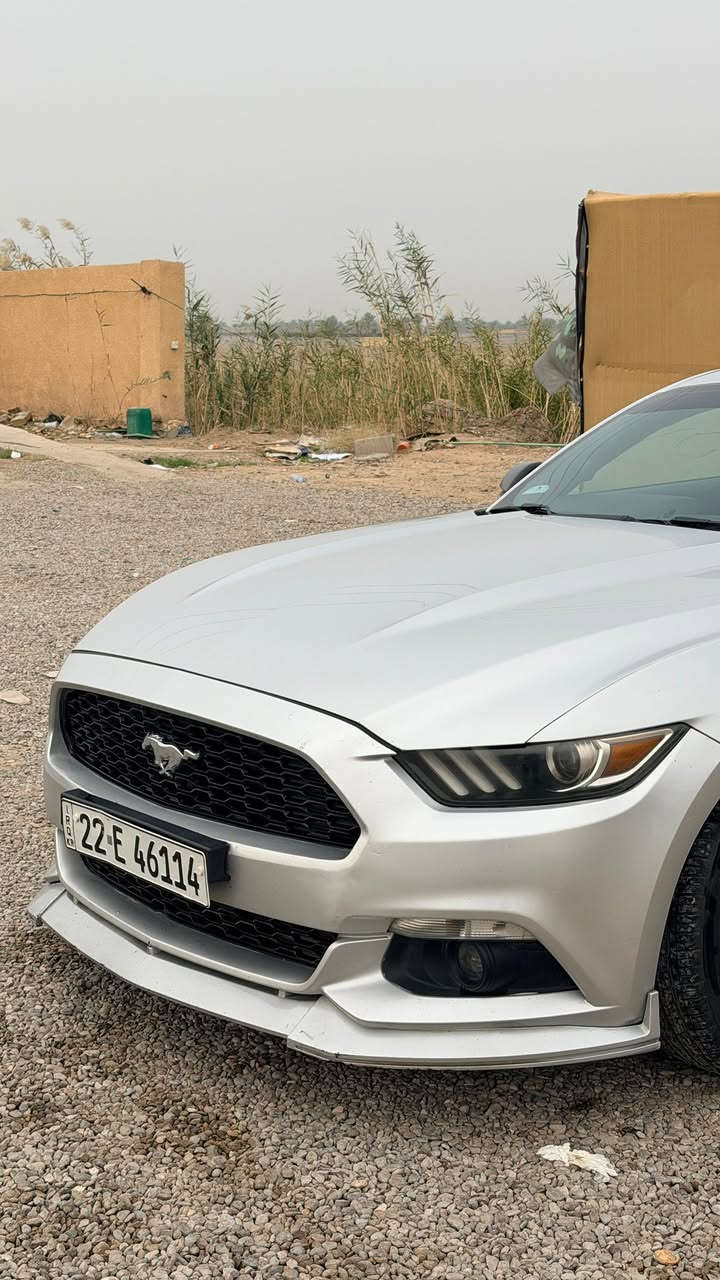 موستنك للبيع 2016 ايكو بوست 4 سلندر ماشيه 100 
السياره داخله للعراق كلين 
وصار عندي قدر كما موضح امامكم السياره مكفوله كير محرك شاصي حادثها بديت النيد وبدايت الجاملغ ابيع ع حالتهن 
السياره نظيفه وجاهزه من كلشي 
السعر / 130 وبيها مجال بسيط 
العنوان /الانبار /الكرمه 

***********
