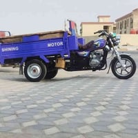 ستوته • ٢٠٢٣ • حله الشوملي