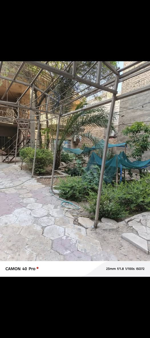 انتبه 📍 انتبه 📍 مكان مميزة اقرة المنشور 
السلام عليكم  بيت مساحتة 550 متر قرب مستشفى العباس الاهلي اول بيت عن الشارع العام يعني اول بيت بالفرع يرهم  شقق للطلاب مكانة مميز قرب جامعة الطف وكلية الاكل الطبية او شاليه او حسينية او سكن يبعد عن مركز المدينة 700 وعن الامام الحسين 1كيلو  يحتوي البيت على حدائق 2 وغرف نوم 2 واستقبال = مضيف  كبيرة ومطبخ وصحيات والطابق الثاني معزول يحتوي على غرفة وصالة ومطبخ وصحيات للاستفسار اكثر الاتصال مع صاحب الدار مباشر علماً البيت طابو زراعي يعني سند يتحول باسمك متشيل هم الشي  ***********

