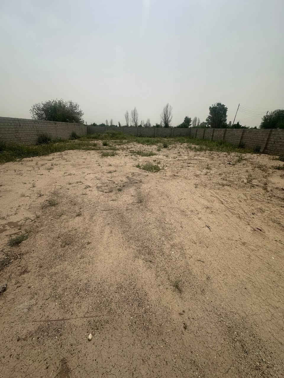 السلام عليكم ورحمة الله وبركاته
يوجد نص دونم مسيج بلوك 

طابو زرعي 

واصل مي وكهرباء 

العنوان العلم  العالي قرب محلات السكماني قرب مضيف القواسم  

سعر جدا مناسب 

الاستفسار اتصل  
***********

وحياكم الله
