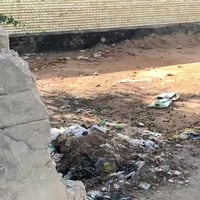 عرصة زراعية • ١٨٤م • حي الكويت