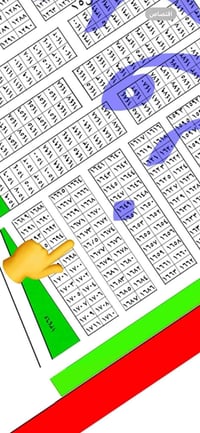 شارع ٤٠ • ١٢٥م • ماء كهرباء مجاري