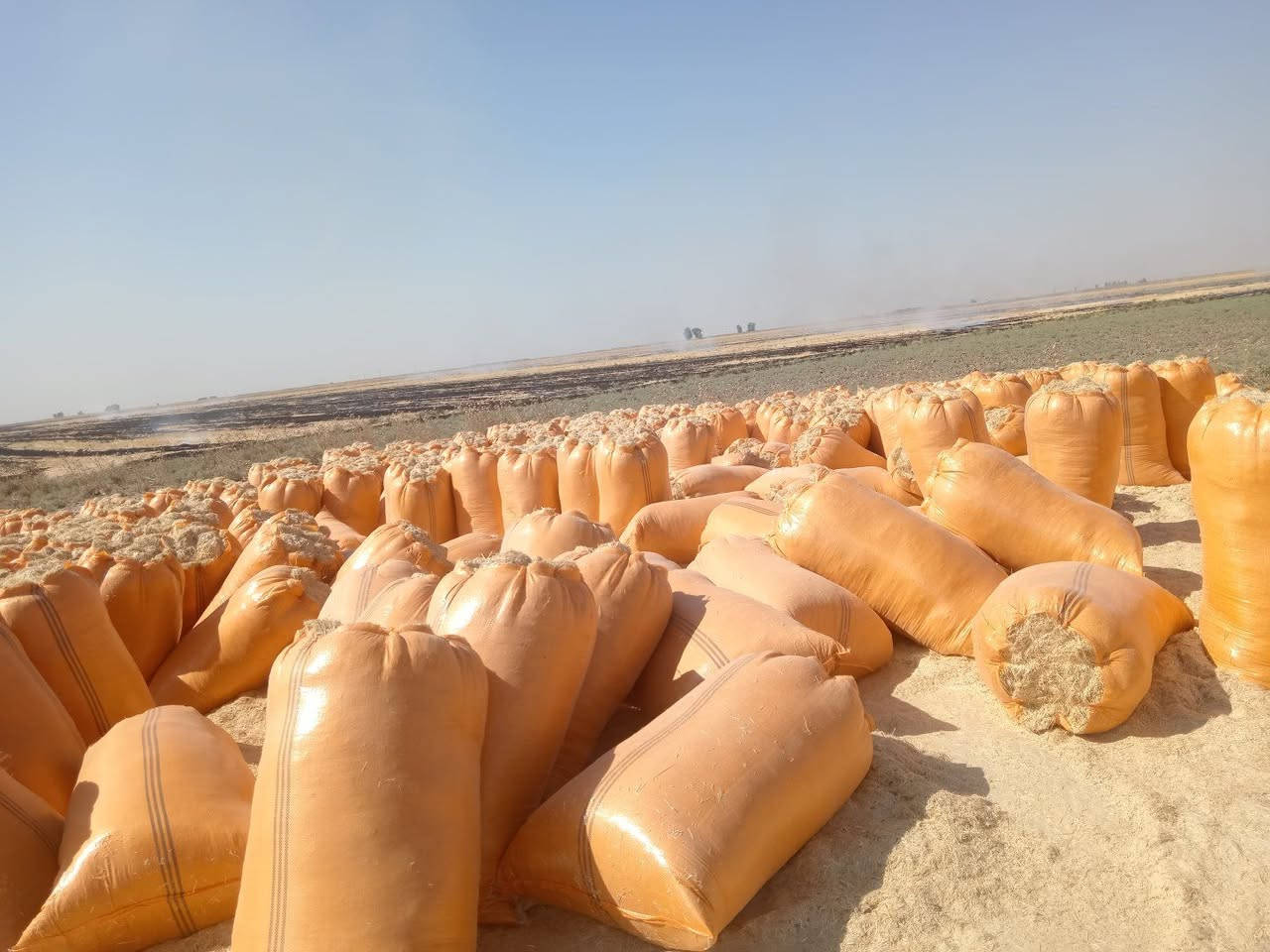 🌾 يوجد تبن للبيع 🌾

تبن الشمال (أربيل وكركوك)
✅ أبيض
✅ ناعم
✅ نظيف
✅ خالٍ من التراب

🚛 سعر الزوج إلى ديالى : ٧ونص 

📞 للاستفسار والطلب: ***********
