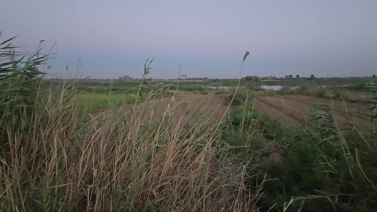 البيع شاطيه بمساحه 1320 +بستان بمساحه 3861+ارض زراعيه( طابو صرف 25 تحويل ثاني يوم   بمساحه 22دونم كلهن حصه مائيه وحيدها +    
عنوان  : واسط قضاء الزبيديه ( ارض عزت كريم العبدلله الدليمي)
ملاحضه ( تباع كلها او جزء منها)
تفاصيل اكثر داخل المنشور او للأستفسار اكثر اتصل علئ الارقام التاليه 
***********
***********
***********

