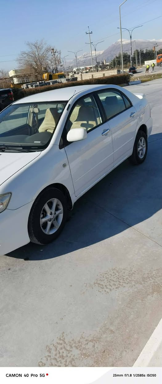 بیکاشۆ
2005
ناوزەرد
مەکینەگەورە
گێڕومەکینە بەشەرت
سێ پارچەی دواوەی بۆیاخە،
سەنەوی نوێ یە
هەزەی نوێ یە
بۆزانیاری زیاتر تێل بکە
شوێن حاجیاوا
*********** رانية, السليمانية
