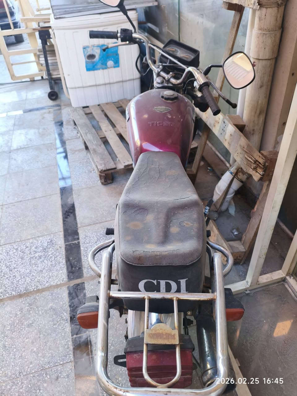 من رخصه الادمن. لاتنطي موعد وتخلف الفف رحمه لوالديك دراجة تايكر باكستاني موديل 2021 دراجه كامله متذب عليها ربع غير تفيلس ولاستيك ولف يبس لين جانت واكفه لفتره ما تكلفك بالزايد 15 بس اما الدراجه من الطول للطول جديدة رايدها 430 وبيها مجال مكاني بغداد العامرية  رقمي بي واتس ***********
