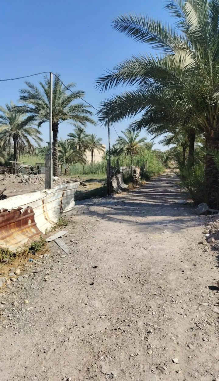 السلام عليكم
ارض للبيع المساحه/1000 / زراعي واجه 20/ نزال 44 
يحتوي على بيت هيكل مساحه/150متر 
الخدمات كامله قريب من شارع العام منطقه سكنيه 
العنوان بغداد منطقه طالب العلي قرب مرور الحسينيه 
السعر 160  او. بيه مجال 
الاتصال على الرقم ***********
