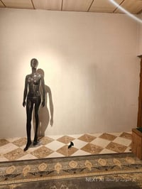 ديكور منزلي • قطع متفرقة