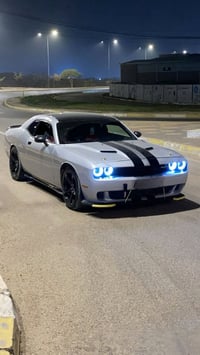 جالنجر • للمراوس • ٣٫٦