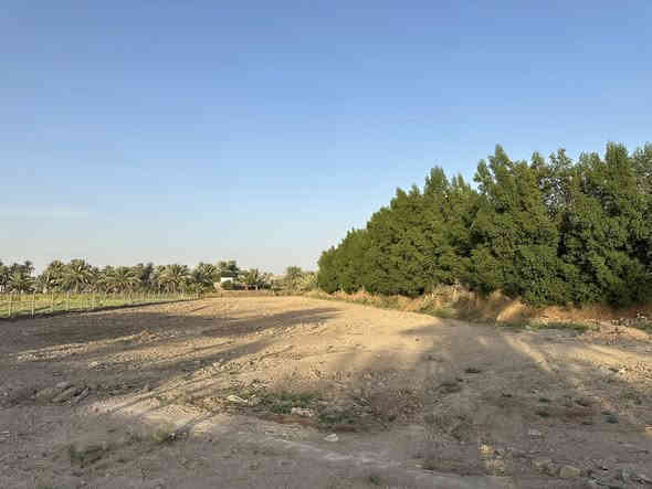 📍 للبيع: أرض زراعية شاطئية مميزة سند ٢٥ على جدول النيل الصغير
• المساحة: دونم ونصف (3,750 متر مربع)
 • الواجهة: 30 متر
 • العمق (النزال): 125 متر
 • الموقع: مباشر على جدول النيل الصغير، وتبعد 100 متر فقط عن شارع النيل القديم
 • الخدمات: ماء، كهرباء، وتبليط متوفرة
 • الاتجاهات: الأرض مفتوحة من جهتين (طريق قرب جامع موسى الكاظم، وطريق قرب عيادة المصطفى البيطرية على شارع النيل العام)
 • الاستخدام: تصلح للسكن أو كمزرعة، ويمكن بيعها مقطعة حسب الرغبة

📞 للاستفسار:
***********
***********
