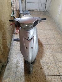 دراجة عصفورية • بغداد