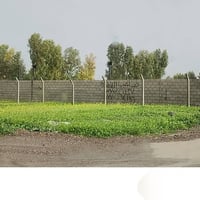 ٣٧٠م • ٢٠x١٨٫٥ • فرع مول حسين