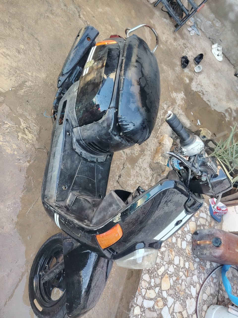 سلام وعليكم ماكس بوليسي لبيع سعر 300 وبي مجال مكان كاطون رازي رقم ***********
