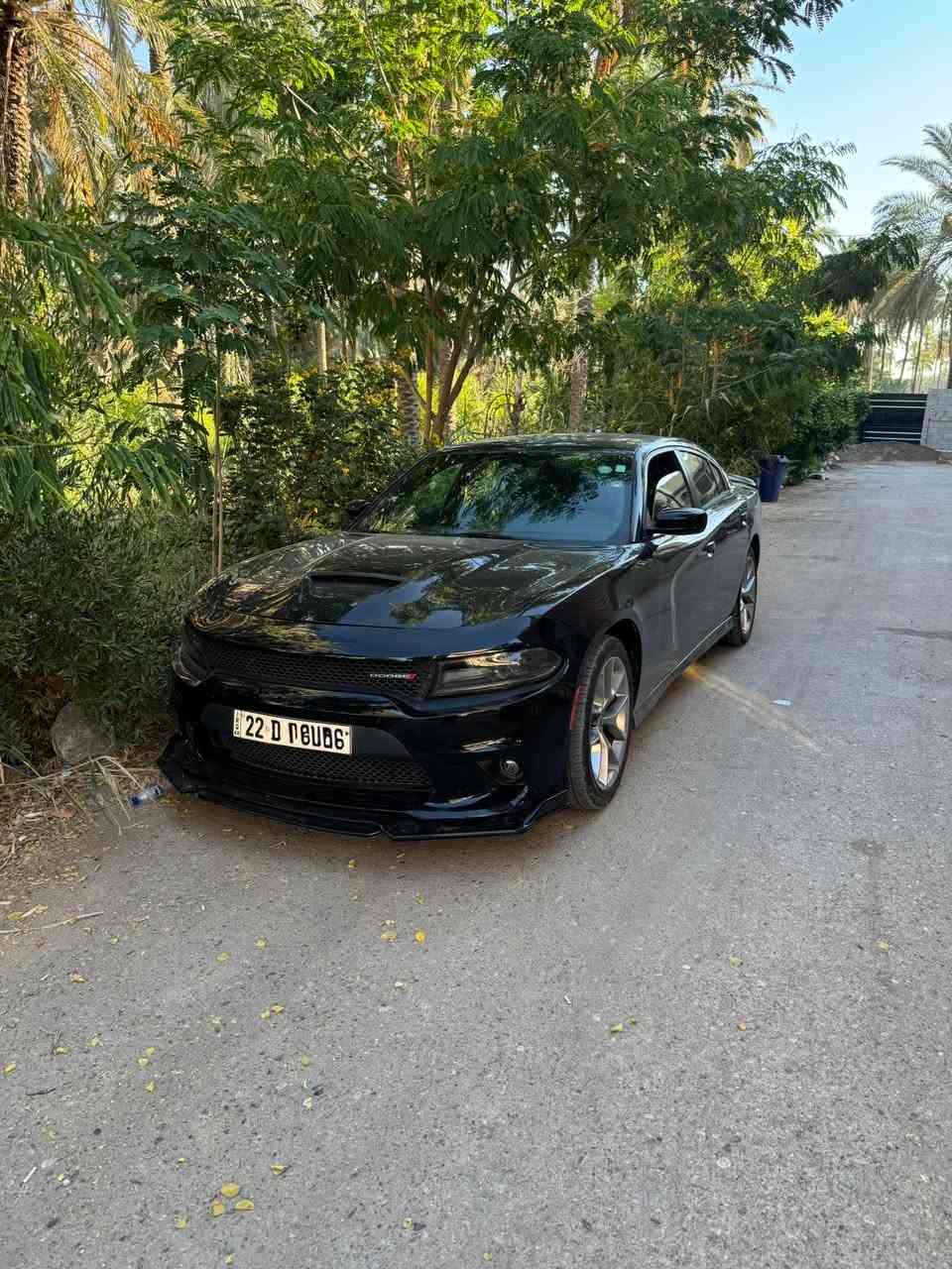 للبيع دودج جارجر GT 2020   وارد امريكي محرك 6 سلندر رقم اربيل باسمي ماشية 80 الف ميل
مواصفات gt
صدر جديد تخم تاير جديد اصلي من وكالة تاير مول
ادامة كاملة 
السيارة مابيها اي نقص 
 صور الحادث والسونار بالمنشور ضربه سطحية بدون ايرباك مكفولة ايرباك ولغد وشواصي ومحرك وكير   مكان ديالى بعقوبة تليفون *********** 
السعر اتصل او علق وادزه الك خاص 
رجائاً قبل لتتصل تاكد من السونار والتفاصيل
