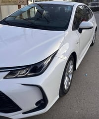 كورلا 25 هايبرد شكل الخليجية رقم بغداد باسمي ماشية 17 فول فتحة وبصمة و...