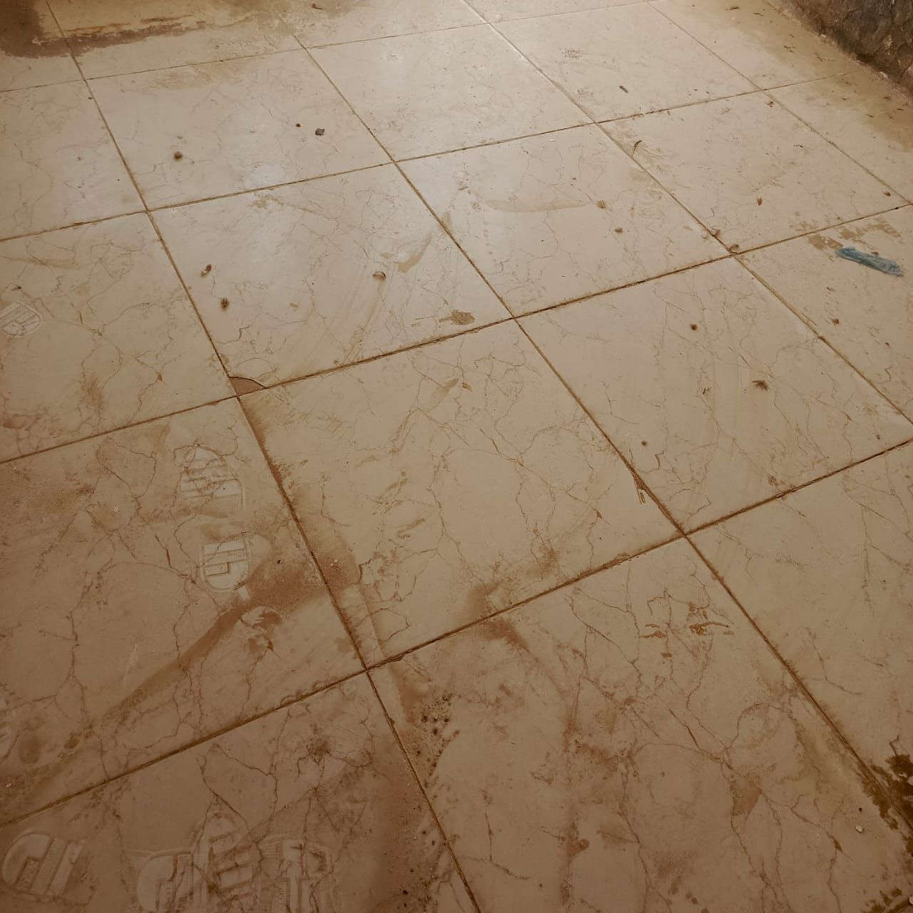 السلام عليكم بيت للبيع بلبراكه شارع علكم لمساحه 120متر مبني بلوك معكود عكاده عوزه ترتيب عقد 35
مفوض بلطابو 
غرفتين وصاله ومطبخ ومغاسل 
بيع مستعجل للتواصل ‏ ‏‪+964 770 204 6654‬‏
