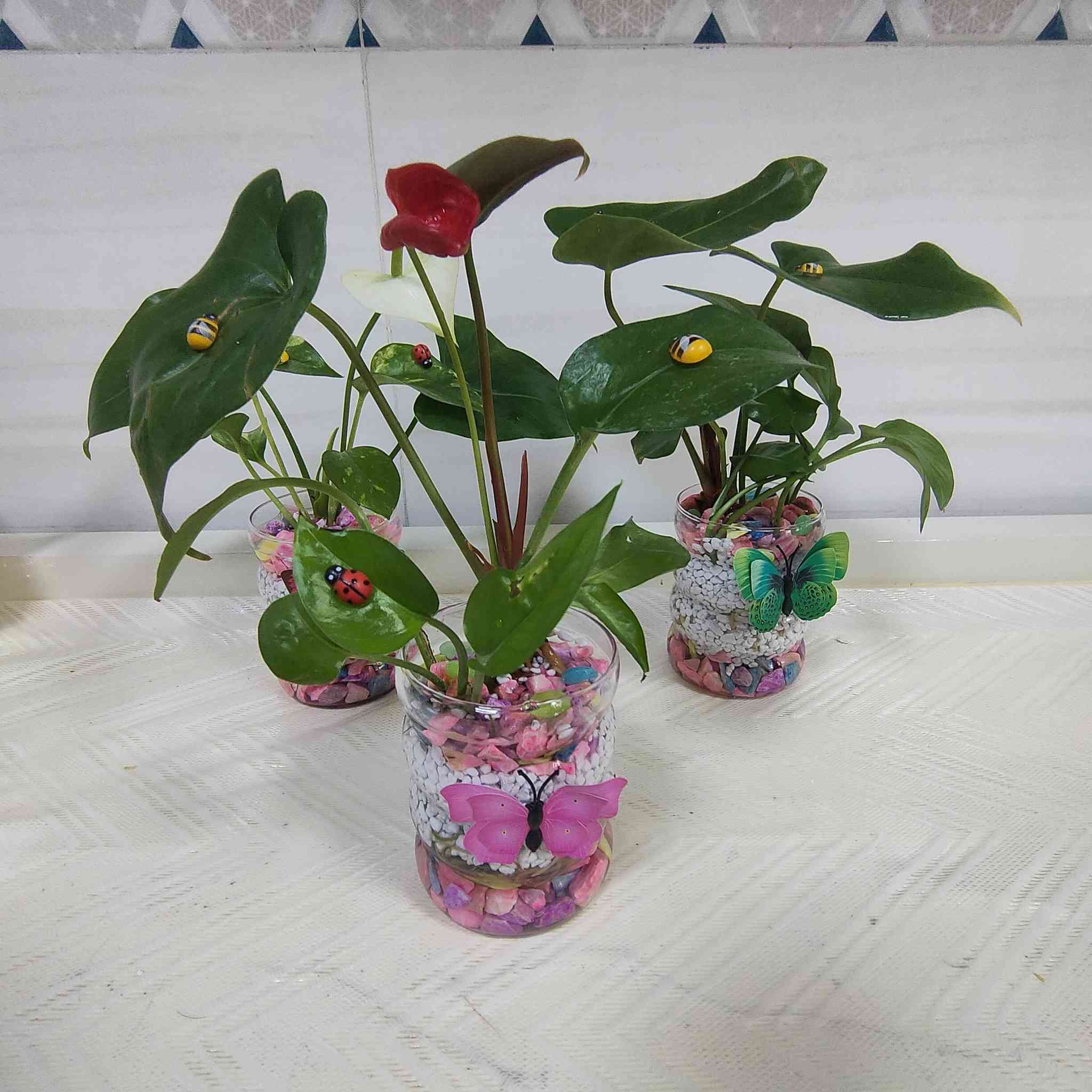 كل بيت بي مطبخ 🍟🍟🍩🍩🍴🍴
وكل مطبخ بي كاونتر 🏩🏩🏩
وكل كاونتر يحتاج الزينه🎄🎄🎄🎄
والزينه موجوده عندي جاهزة💚💚 
ما عليك بس تراسلني وحجز 📩📩
والتوصيل متوفر في المسيب🚗🚗 
واستمتع  بجمال مزج نبات الانثريوم 🌱🌱
مع نبات البلاب🌿🌿🌿


**إذا كنت صاحب هذا الإعلان وتريد حذفه لأي سبب، رجاءا أرسل رسالة إلى الدعم الفني**