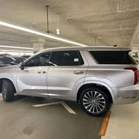 بليسايد • ٢٠٢٤ • كلكرافي