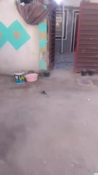 بيت للبيع • حي الاسرة • ١٠٠م