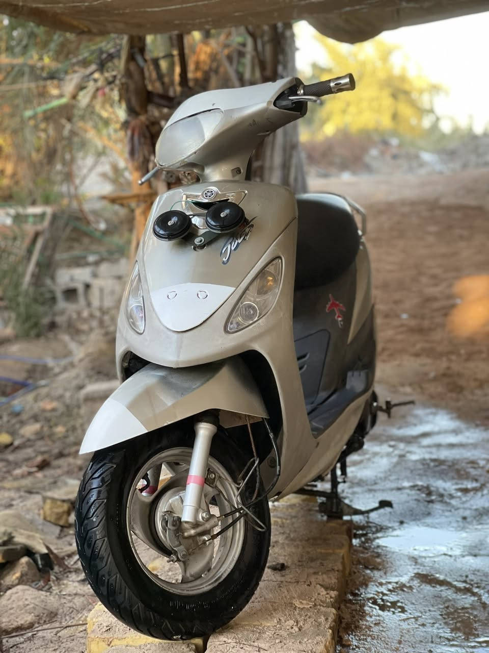 للبيع 
المكان نجف مناذرة ابو صخير 
السعر ٥٥٠ 
***********
