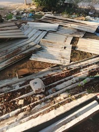 جينكو للبيع 07782459559