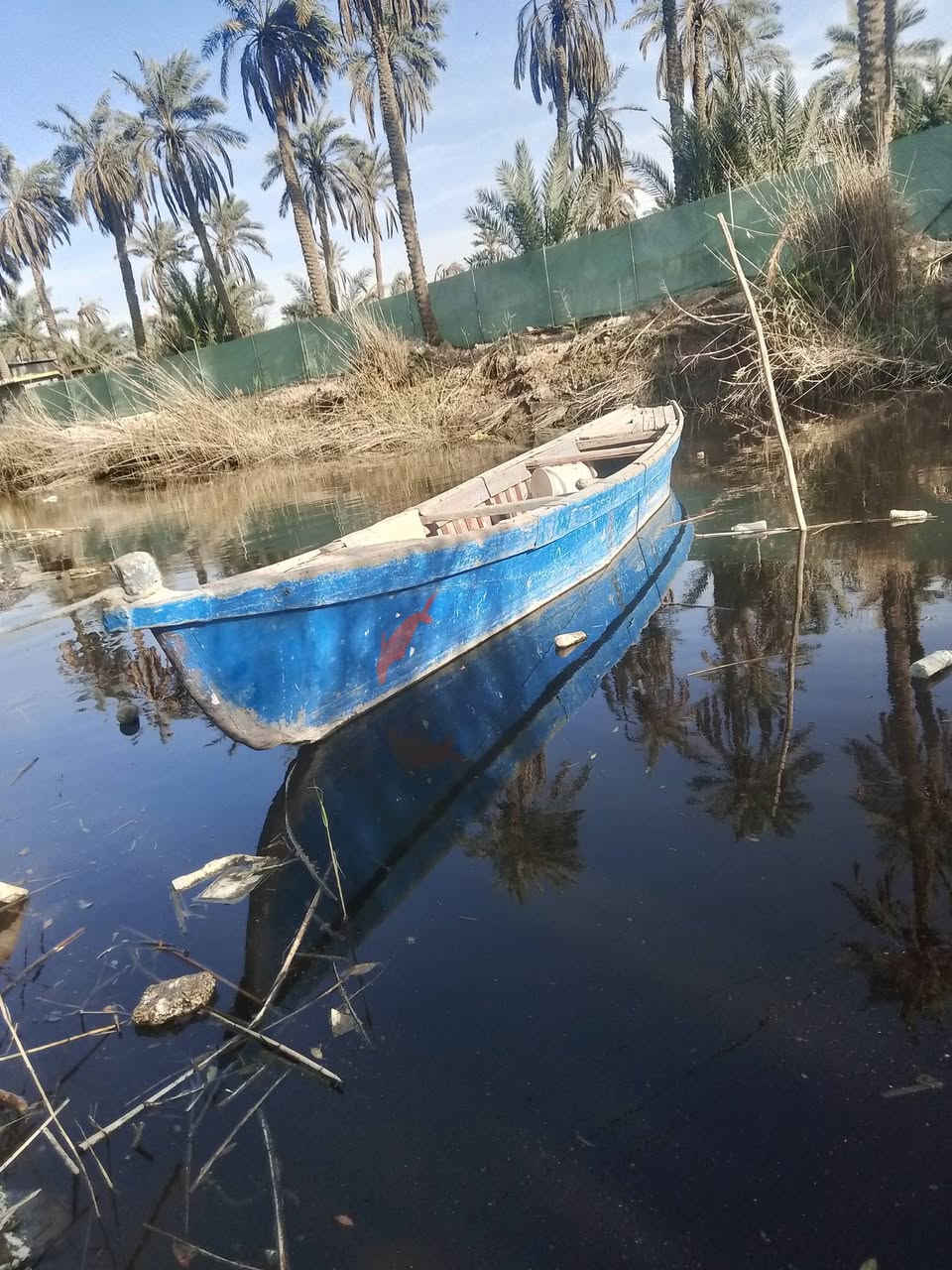 سلام عليكم من رخصت الكروب
عندي جينكوا للبيع 14ضراغ فافون ابو صدفه املس 
عنوان بصره ابو خصيب مهيجران 
رقم الهاتف ***********
سعر 450
